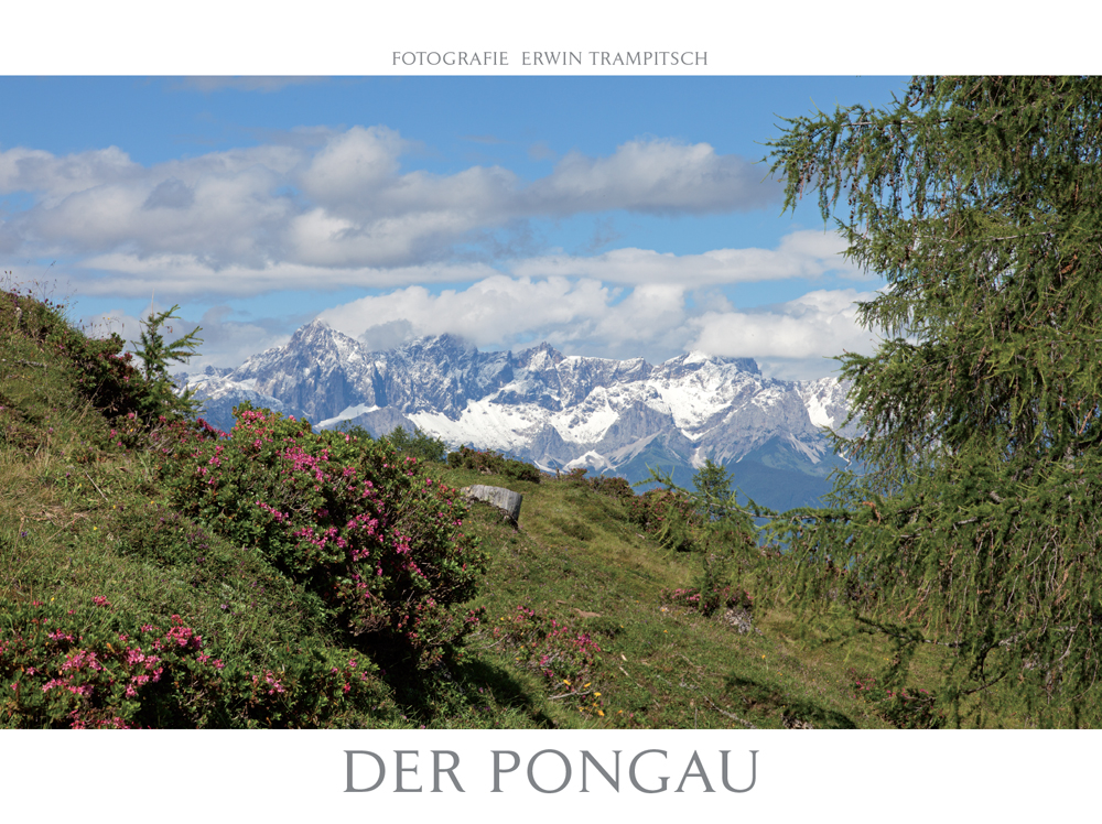 Der Pongau titel BF